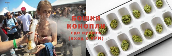 стафф Гусев