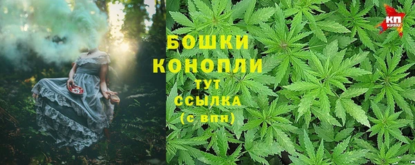дмт Гусь-Хрустальный