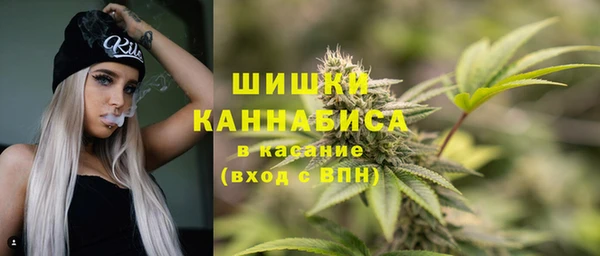 стафф Гусев