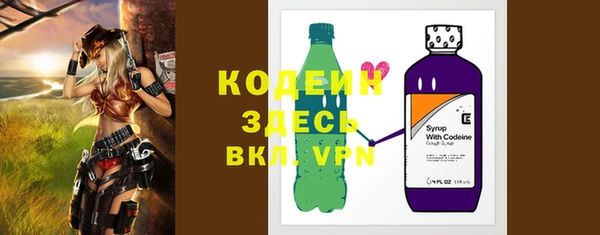стафф Гусев
