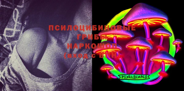 дмт Гусь-Хрустальный