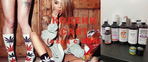 стафф Гусев