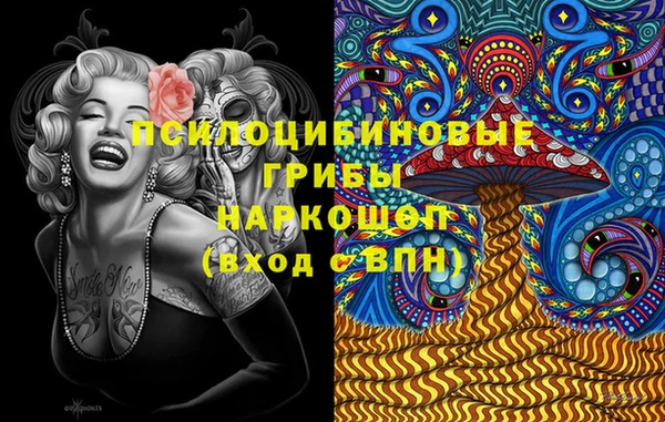 стафф Гусев