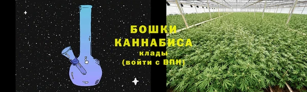 дмт Гусь-Хрустальный