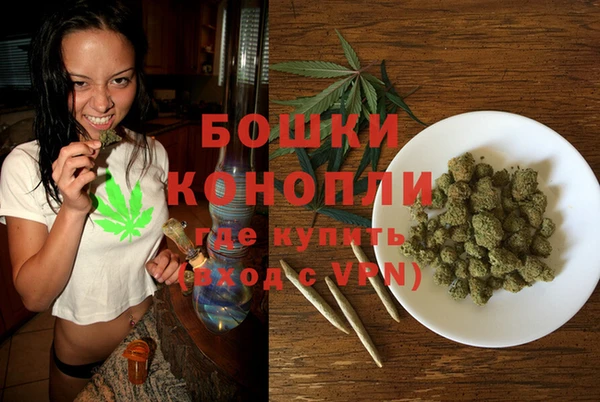 стафф Гусев