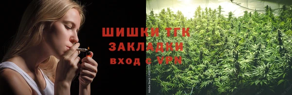 стафф Гусев