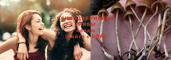 крисы Гусиноозёрск