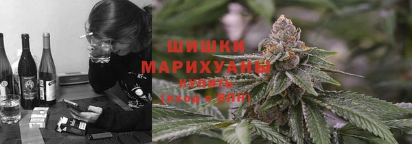 стафф Гусев