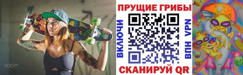 Купить закладки  Буинск  Псилоцибиновые грибы Psilocybe 
